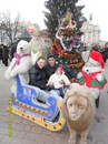 Міша Табака фотография #22 (источник - https://vk.com/id156612458)