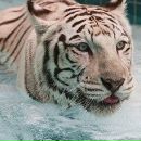 Валік Беляк фотография #6 (источник - https://vk.com/id239232557)