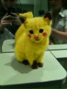 Міша Куца фотография #6 (источник - https://vk.com/id176238049)