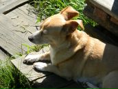 Фотография Калининой Галины