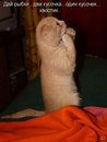 Ігор Бойко фотография #29 (источник - https://vk.com/id163382798)