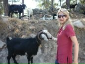 Фотография Шляхтиной Татьяны