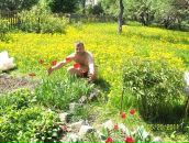 Фотография Токарева Дмитрия