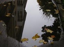 Юля Поліщук фотография #39 (источник - https://vk.com/id132375495)