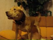 Фотография Кузнецова Ивана