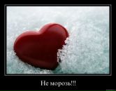 Фотография Фроловой Ольги