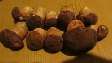 Фотография Жильченко Марии