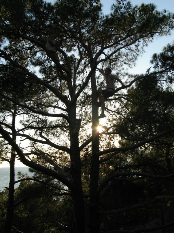 Cucumber Jam фотография #49