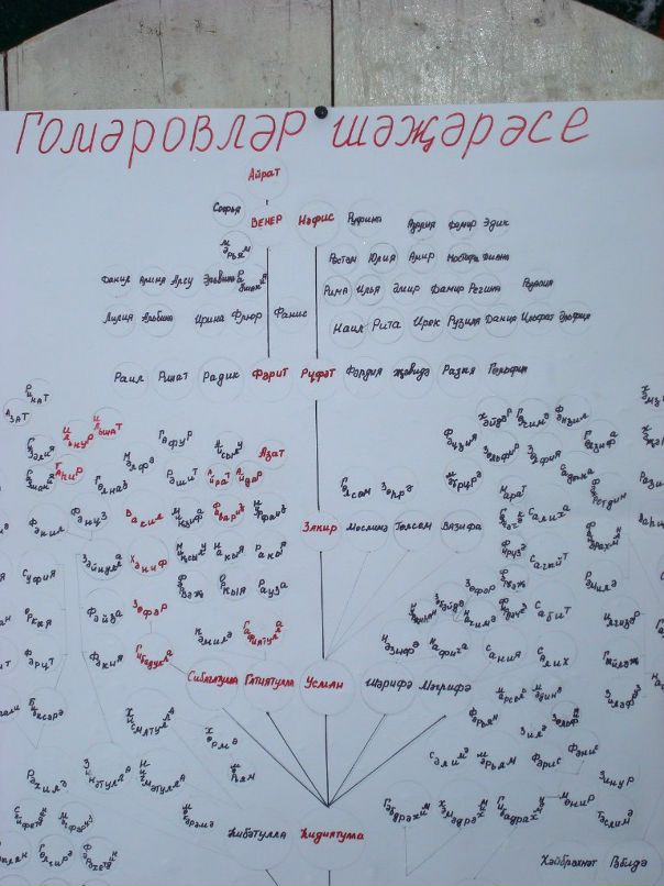 Нафис Гумеров фотография #31