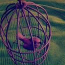 Фотография Римской Екатерины