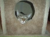 Igor Tarasov фотография #37 (источник - https://vk.com/id2694271)