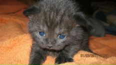 Фотография Носовой Ольги