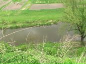 Міша Хапіцький фотография #19 (источник - https://vk.com/id64754444)