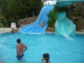 Фотография Рогожкина Дмитрия