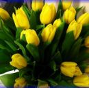 Віра Решетар фотография #19 (источник - https://vk.com/id144140541)