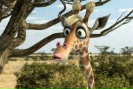 Фотография Иванов Владимир