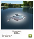 Дашка Квітка фотография #49 (источник - https://vk.com/id146343244)