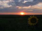Іван Грицишин фотография #22 (источник - https://vk.com/id10483222)