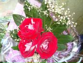 Фотография Федосеевой Татьяны