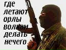 Роберт Николаев фотография #35 (источник - https://vk.com/id72224796)