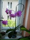 Василь Тимків фотография #44 (источник - https://vk.com/id138073677)