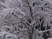 Галина Білоконь фотография #36 (источник - https://vk.com/id135539989)