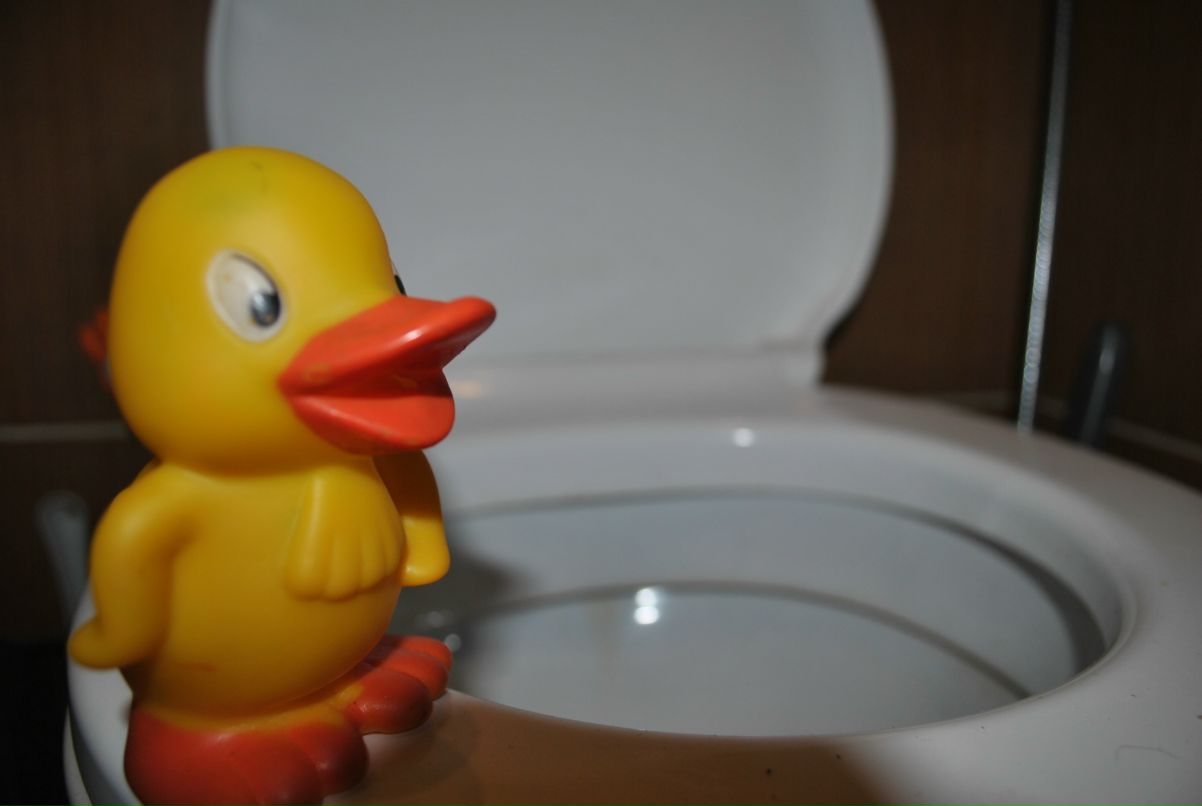 Антон Коростелев фотография #11