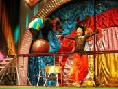 Фотография Кутафиной Светланы