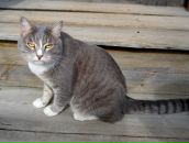 Фотография Иваненко Алены