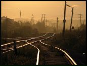 Фотография Щепилова Максима