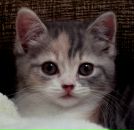 Фотография Бабаевой Анны