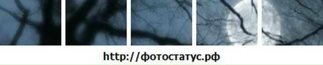 Віталік Гаврилюк фотография #50 (источник - https://vk.com/id67084327)