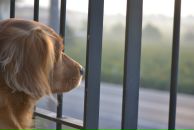 Фотография Tad Anna