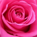 Сергій Клименко фотография #26 (источник - https://vk.com/id148502130)