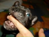 Фотография Шкиля Игоря