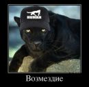 Denis Gs фотография #27 (источник - https://vk.com/id2787925)