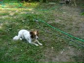 Рогнеда Степанова фотография #28 (источник - https://vk.com/id8756748)