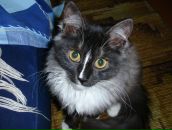 Фотография Проскурни Любови