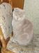  фотография #32