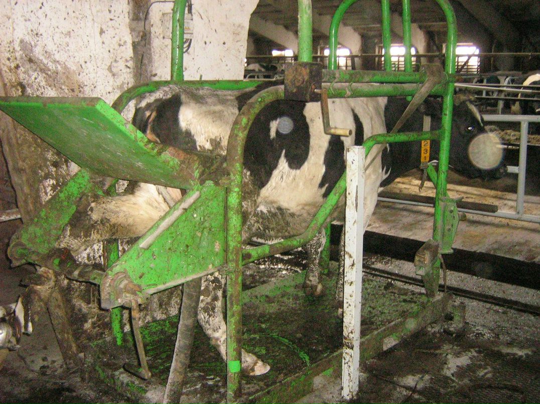 Иван Плотников фотография #37