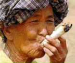 Фотография Белошицкая Ольга