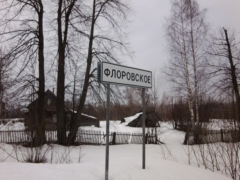 Дарья Щербакова фотография #2