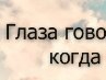 Євген Бреккер фотография #9 (источник - https://vk.com/id143957258)