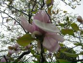 Юлія Парфеса фотография #42 (источник - https://vk.com/id6576639)