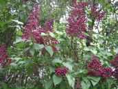 Юлія Парфеса фотография #24 (источник - https://vk.com/id6576639)