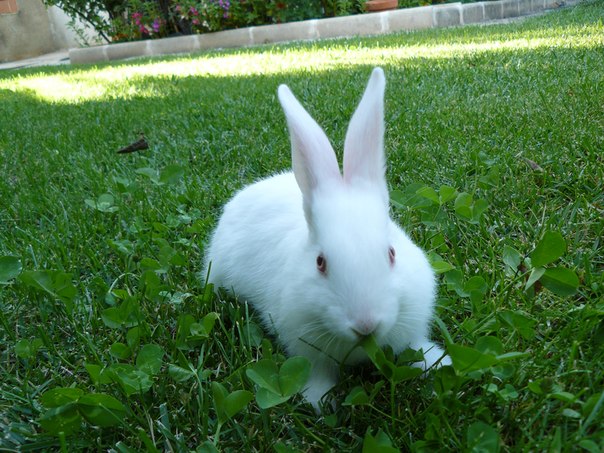 Marta Ktb фото №2