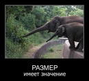 Роман Станіславській фотография #9 (источник - https://vk.com/id139311268)
