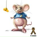 Стасік Драгула фотография #22 (источник - https://vk.com/id85579322)