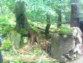 Валік Пряха фотография #39 (источник - https://vk.com/id74666305)