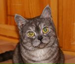 Фотография Адеркина Андрея